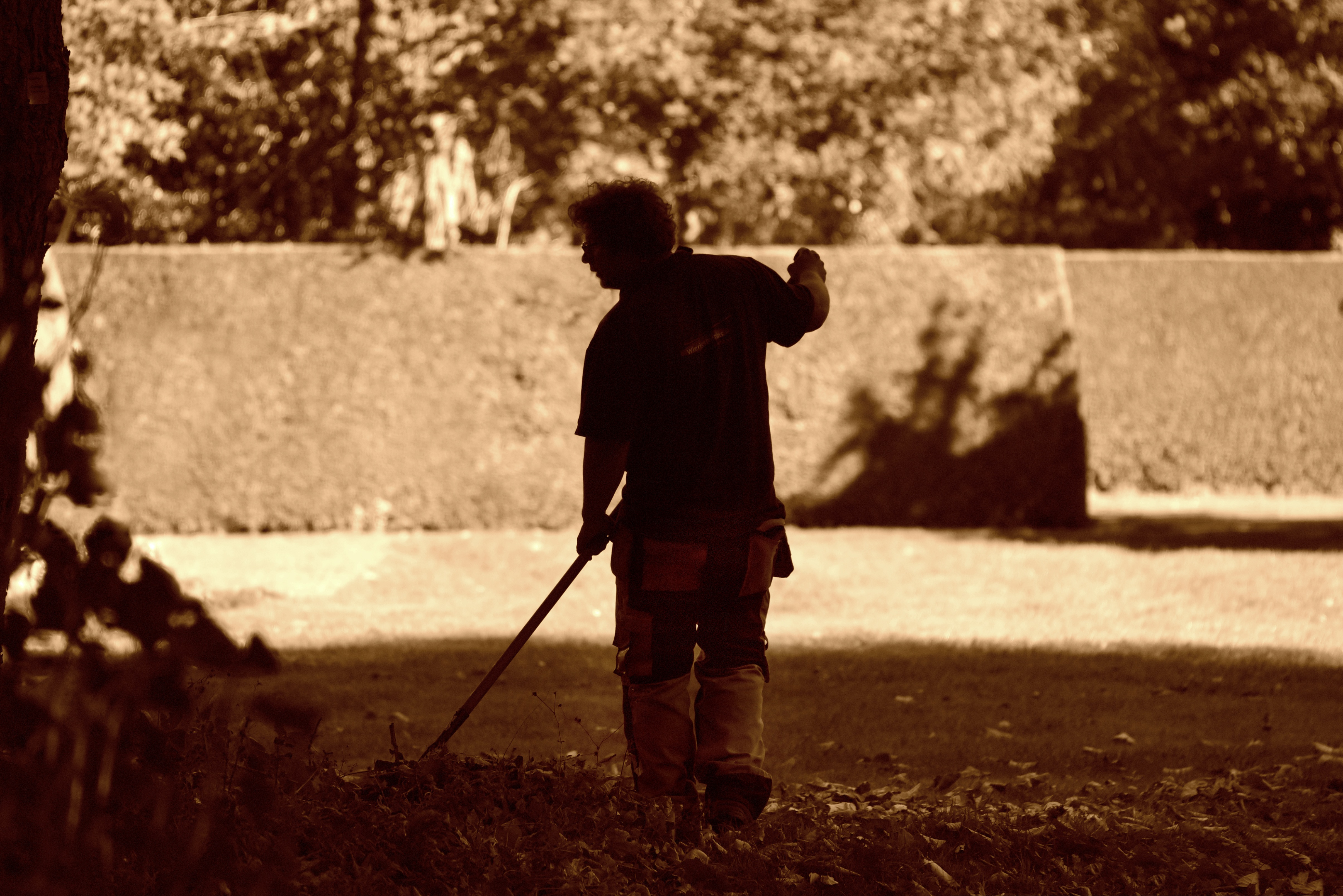 Gartenservice bei der Arbeit